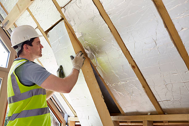 Eco-Friendly Insulation Solutions in Reno, NV